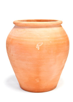 Terracotta Tulip Pot